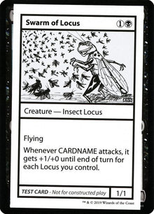 48-swarmoflocus