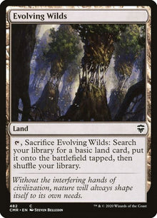 482-evolvingwilds