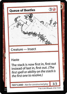 61-queueofbeetles