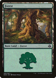 65-forest