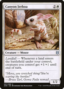 7-canyonjerboa