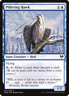 71-pilferinghawk
