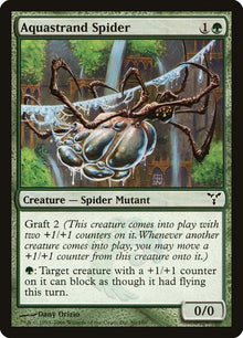 80-aquastrandspider