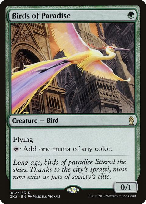 82-birdsofparadise