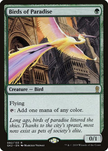 82-birdsofparadise