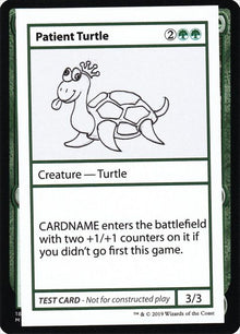 82-patientturtle