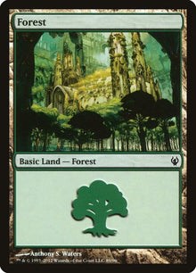 89-forest