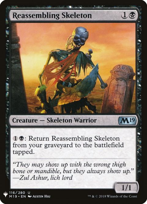 M19-116-reassemblingskeleton
